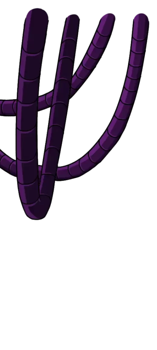 Kaya_Home_Zimmy Assets Lvl1