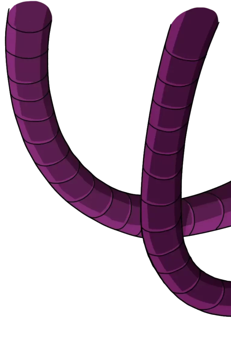 Kaya_Home_Zimmy Assets Lvl2