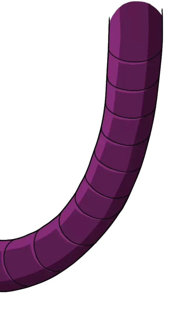 Kaya_Home_Zimmy Assets Lvl2